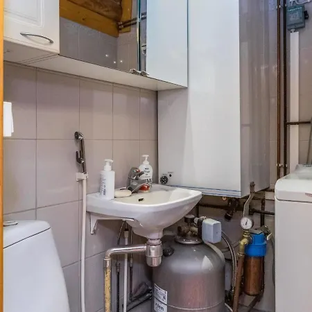 Lohi- Cjoe237 A By Interhome Saynetlahti